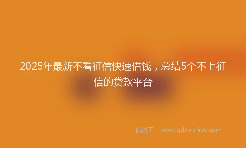 2025年最新不看征信快速借钱，总结5个不上征信的贷款平台