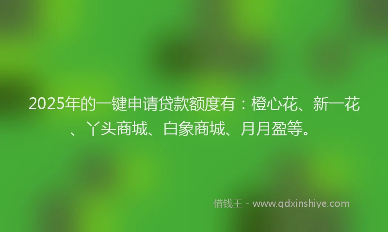 2025年的一键申请贷款额度有：橙心花、新一花、丫头商城、白象商城、月月盈等。