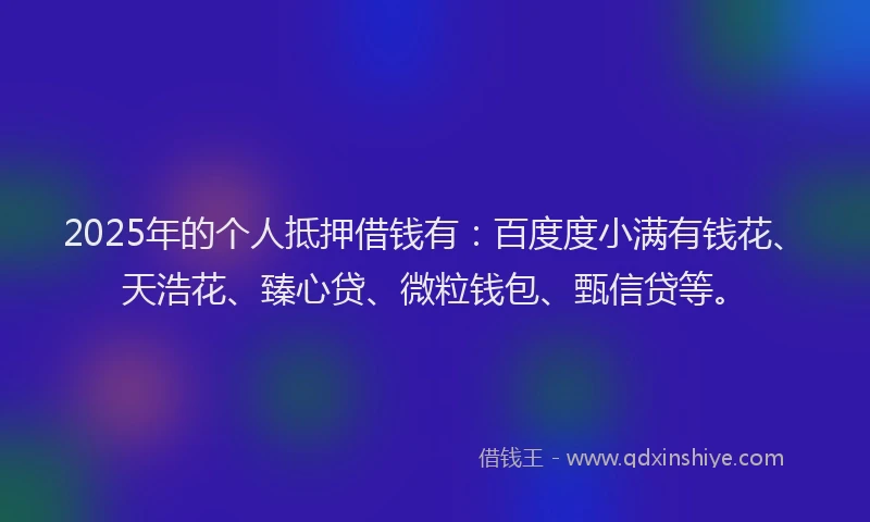 2025年的个人抵押借钱有：百度度小满有钱花、天浩花、臻心贷、微粒钱包、甄信贷等。