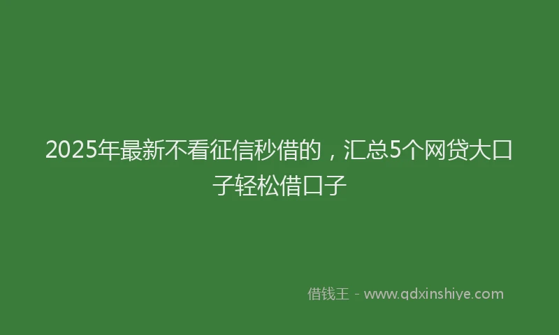 2025年最新不看征信秒借的，汇总5个网贷大口子轻松借口子