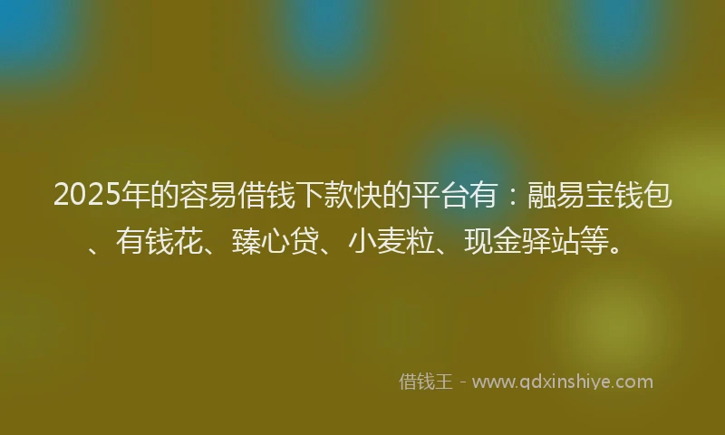 2025年的容易借钱下款快的平台有：融易宝钱包、有钱花、臻心贷、小麦粒、现金驿站等。