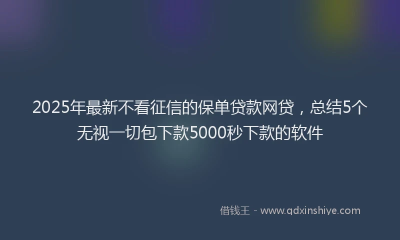 2025年最新不看征信的保单贷款网贷，总结5个无视一切包下款5000秒下款的软件