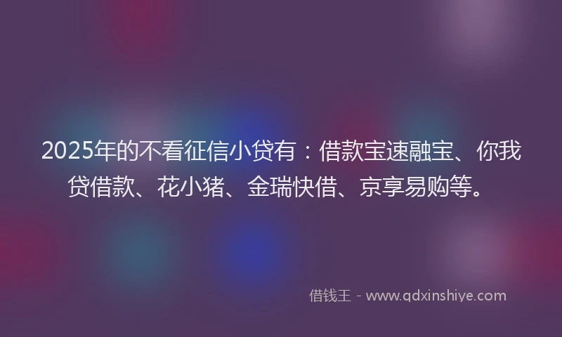 2025年的不看征信小贷有：借款宝速融宝、你我贷借款、花小猪、金瑞快借、京享易购等。