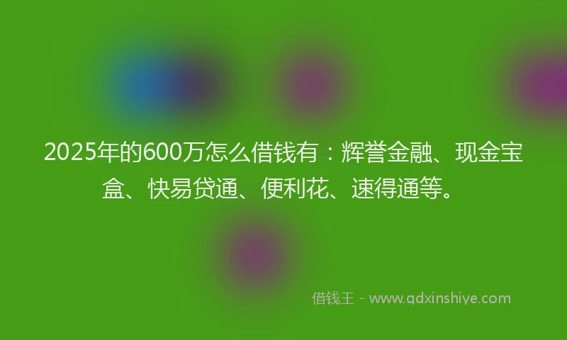 2025年的600万怎么借钱有：辉誉金融、现金宝盒、快易贷通、便利花、速得通等。
