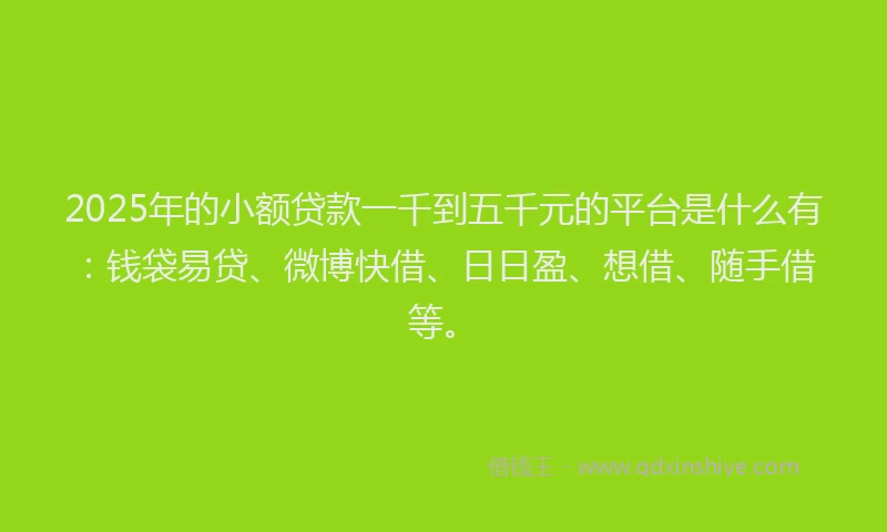 2025年的小额贷款一千到五千元的平台是什么有：钱袋易贷、微博快借、日日盈、想借、随手借等。