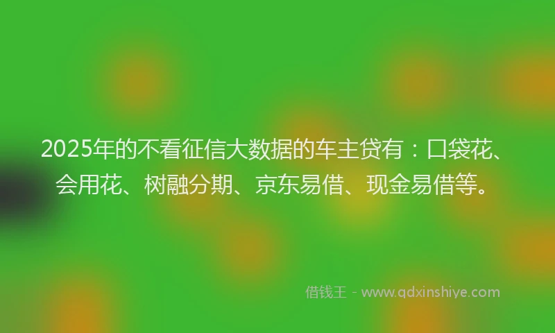2025年的不看征信大数据的车主贷有：口袋花、会用花、树融分期、京东易借、现金易借等。