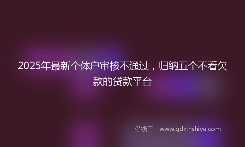 2025年最新个体户审核不通过，归纳五个不看欠款的贷款平台