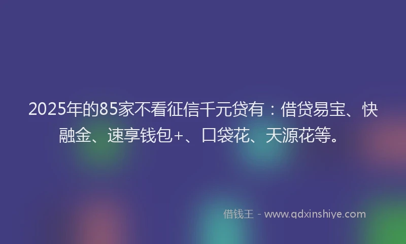 2025年的85家不看征信千元贷有：借贷易宝、快融金、速享钱包+、口袋花、天源花等。