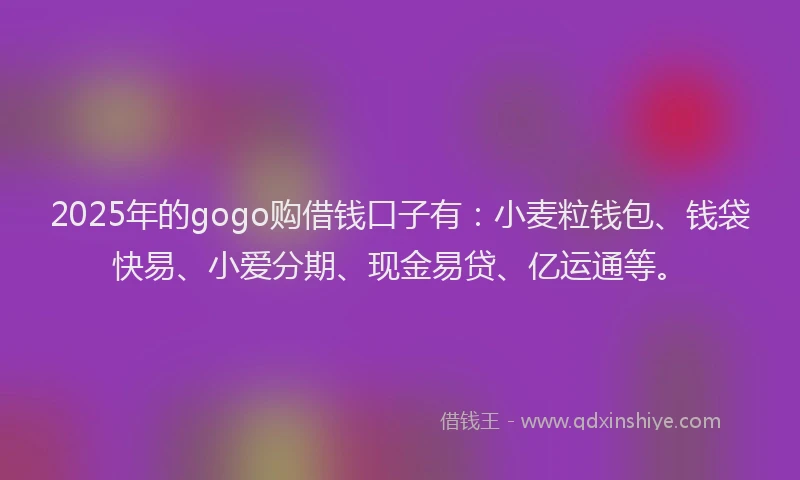 2025年的gogo购借钱口子有：小麦粒钱包、钱袋快易、小爱分期、现金易贷、亿运通等。