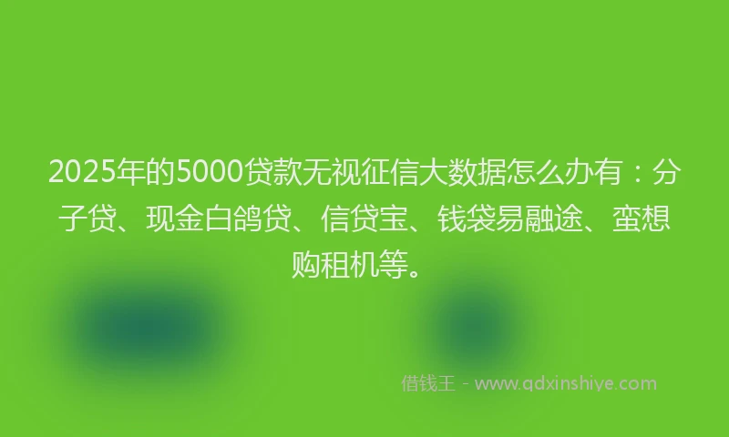 2025年的5000贷款无视征信大数据怎么办有：分子贷、现金白鸽贷、信贷宝、钱袋易融途、蛮想购租机等。