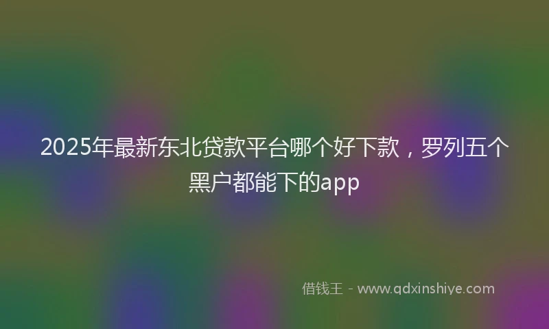 2025年最新东北贷款平台哪个好下款，罗列五个黑户都能下的app