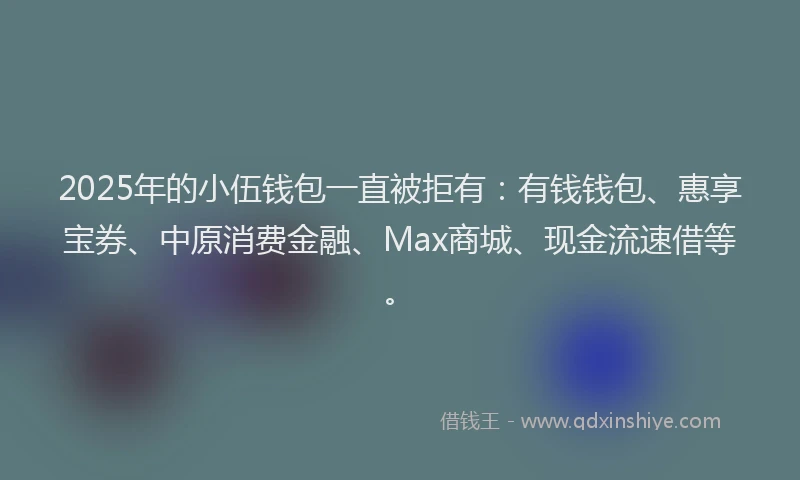 2025年的小伍钱包一直被拒有：有钱钱包、惠享宝券、中原消费金融、Max商城、现金流速借等。