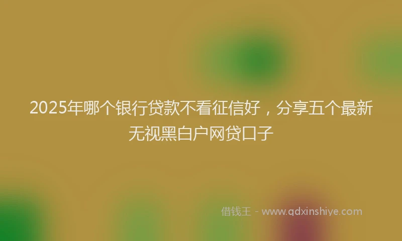 2025年哪个银行贷款不看征信好，分享五个最新无视黑白户网贷口子