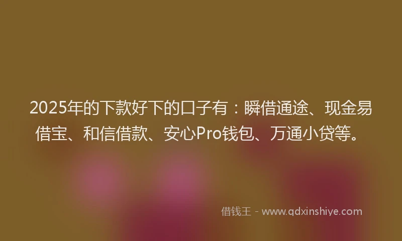 2025年的下款好下的口子有：瞬借通途、现金易借宝、和信借款、安心Pro钱包、万通小贷等。