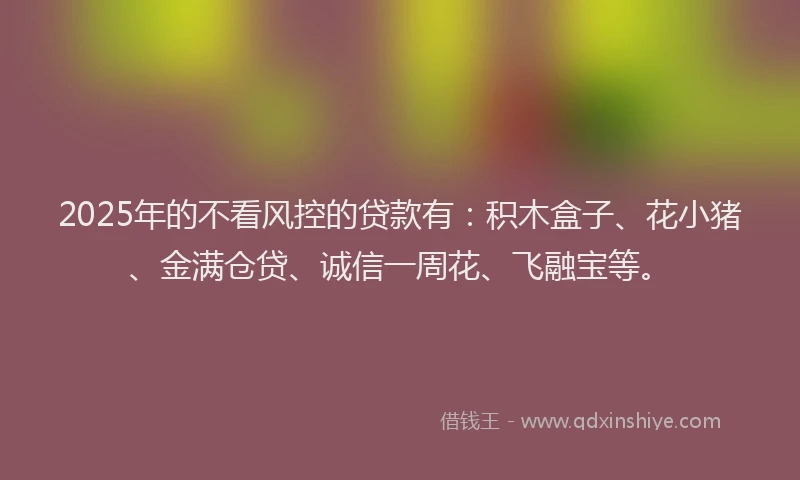2025年的不看风控的贷款有：积木盒子、花小猪、金满仓贷、诚信一周花、飞融宝等。