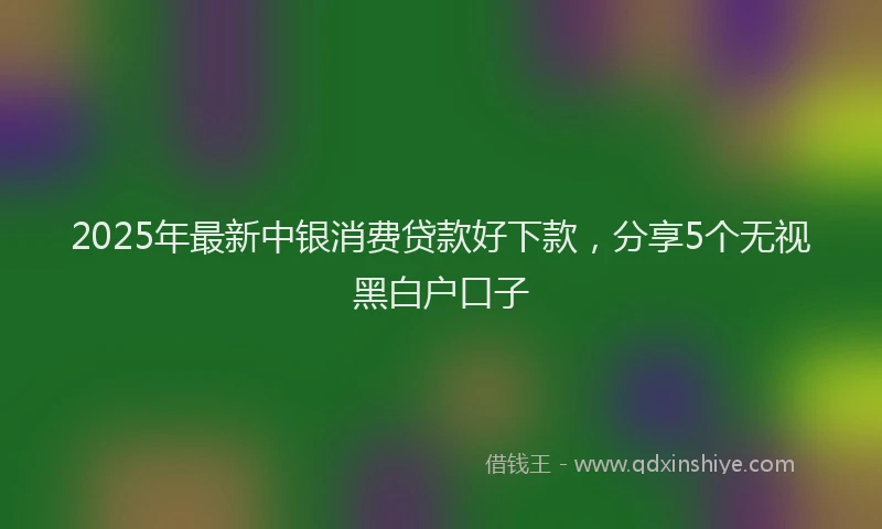 2025年最新中银消费贷款好下款，分享5个无视黑白户口子