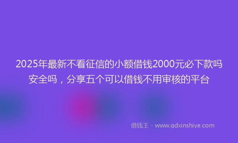 2025年最新不看征信的小额借钱2000元必下款吗安全吗，分享五个可以借钱不用审核的平台