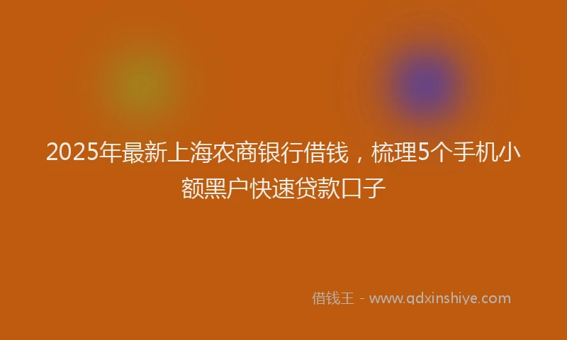 2025年最新上海农商银行借钱，梳理5个手机小额黑户快速贷款口子