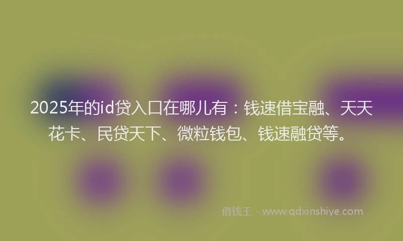 2025年的id贷入口在哪儿有：钱速借宝融、天天花卡、民贷天下、微粒钱包、钱速融贷等。