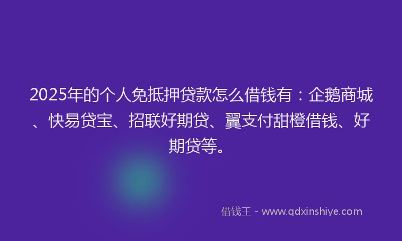 2025年的个人免抵押贷款怎么借钱有：企鹅商城、快易贷宝、招联好期贷、翼支付甜橙借钱、好期贷等。