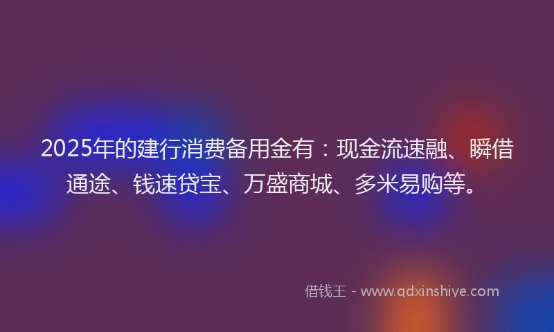 2025年的建行消费备用金有：现金流速融、瞬借通途、钱速贷宝、万盛商城、多米易购等。