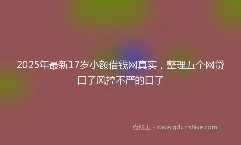 2025年最新17岁小额借钱网真实，整理五个网贷口子风控不严的口子