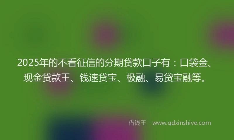 2025年的不看征信的分期贷款口子有：口袋金、现金贷款王、钱速贷宝、极融、易贷宝融等。