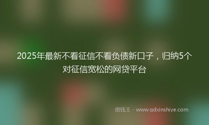 2025年最新不看征信不看负债新口子，归纳5个对征信宽松的网贷平台