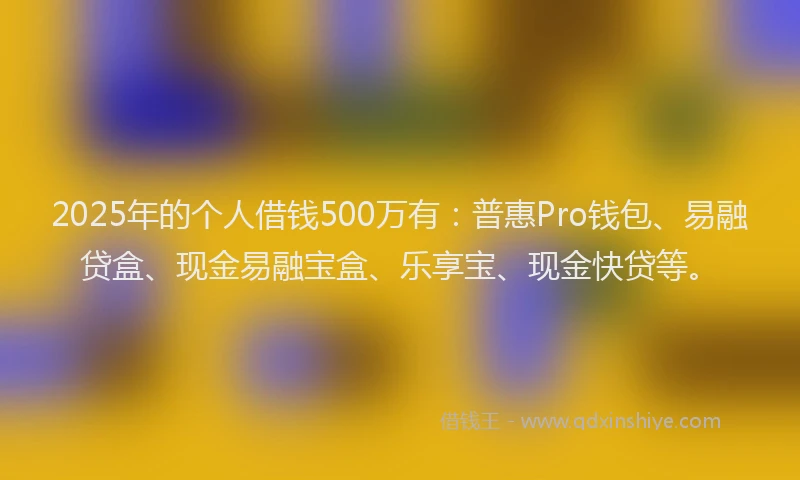 2025年的个人借钱500万有：普惠Pro钱包、易融贷盒、现金易融宝盒、乐享宝、现金快贷等。