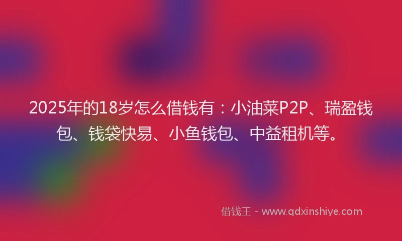 2025年的18岁怎么借钱有：小油菜P2P、瑞盈钱包、钱袋快易、小鱼钱包、中益租机等。