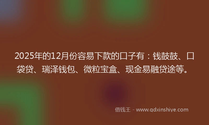 2025年的12月份容易下款的口子有：钱鼓鼓、口袋贷、瑞泽钱包、微粒宝盒、现金易融贷途等。