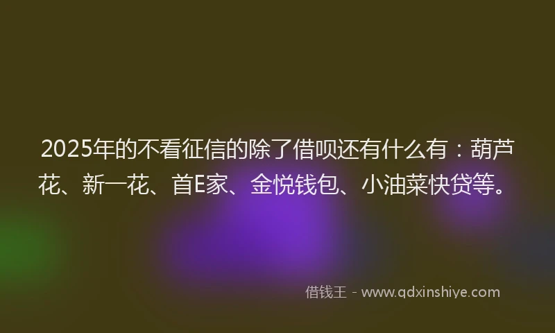 2025年的不看征信的除了借呗还有什么有：葫芦花、新一花、首E家、金悦钱包、小油菜快贷等。