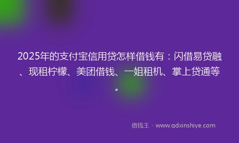 2025年的支付宝信用贷怎样借钱有：闪借易贷融、现租柠檬、美团借钱、一姐租机、掌上贷通等。