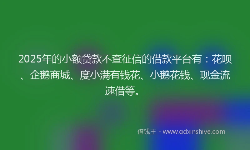 2025年的小额贷款不查征信的借款平台有：花呗、企鹅商城、度小满有钱花、小鹅花钱、现金流速借等。