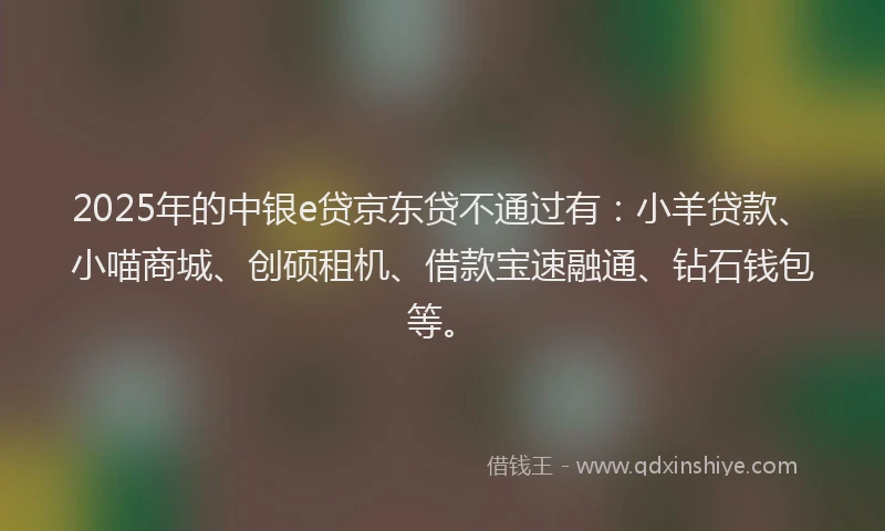2025年的中银e贷京东贷不通过有：小羊贷款、小喵商城、创硕租机、借款宝速融通、钻石钱包等。