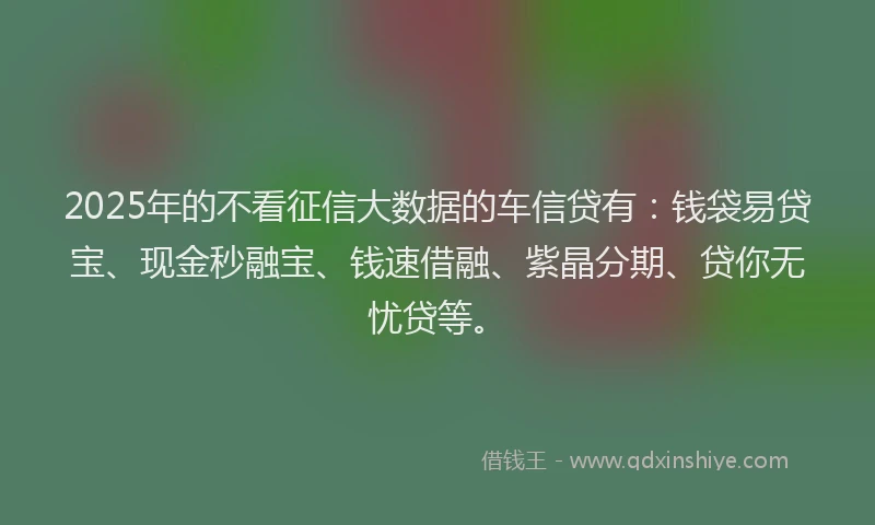 2025年的不看征信大数据的车信贷有：钱袋易贷宝、现金秒融宝、钱速借融、紫晶分期、贷你无忧贷等。