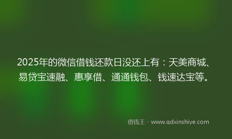 2025年的微信借钱还款日没还上有：天美商城、易贷宝速融、惠享借、通通钱包、钱速达宝等。