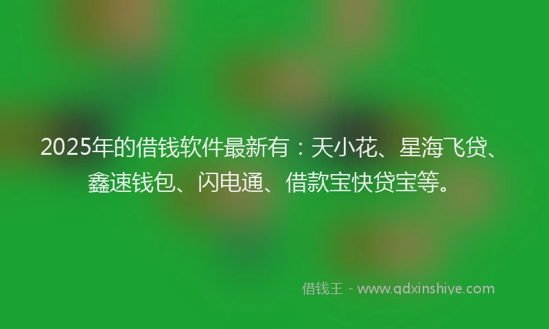 2025年的借钱软件最新有：天小花、星海飞贷、鑫速钱包、闪电通、借款宝快贷宝等。