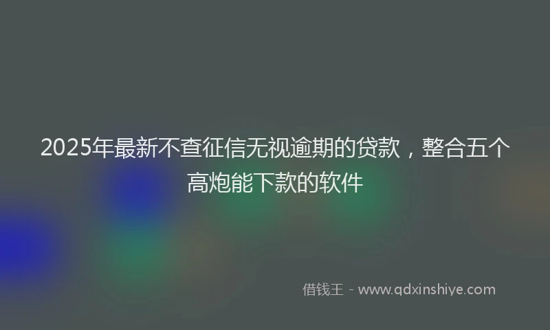 2025年最新不查征信无视逾期的贷款，整合五个高炮能下款的软件