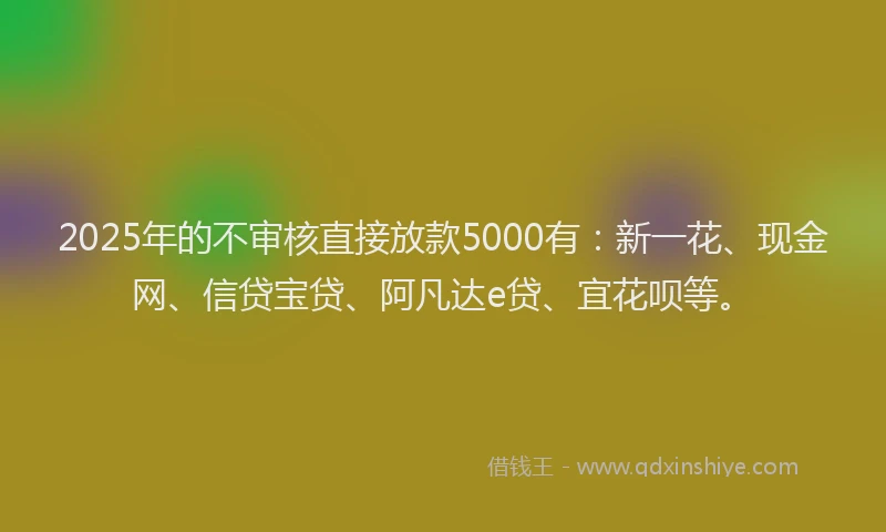 2025年的不审核直接放款5000有：新一花、现金网、信贷宝贷、阿凡达e贷、宜花呗等。