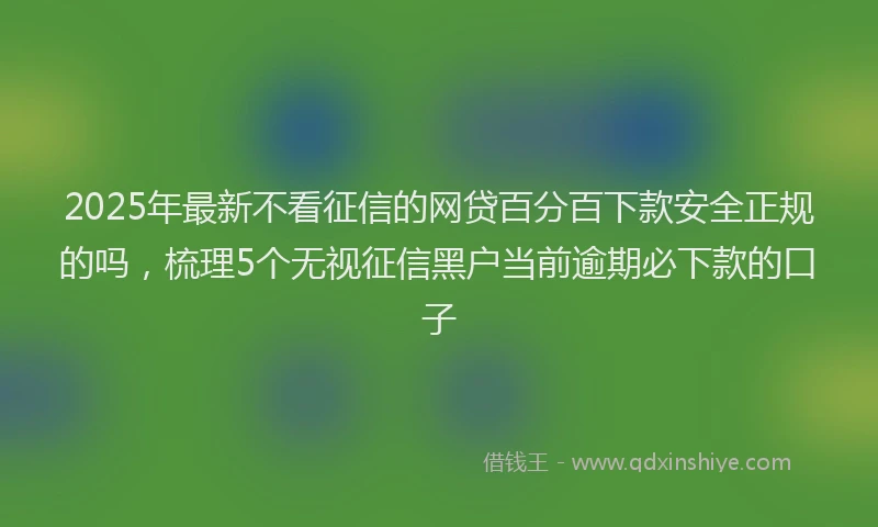 2025年最新不看征信的网贷百分百下款安全正规的吗，梳理5个无视征信黑户当前逾期必下款的口子