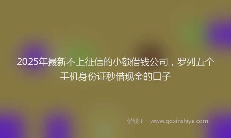 2025年最新不上征信的小额借钱公司，罗列五个手机身份证秒借现金的口子