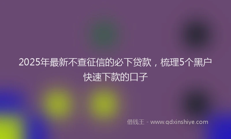 2025年最新不查征信的必下贷款，梳理5个黑户快速下款的口子