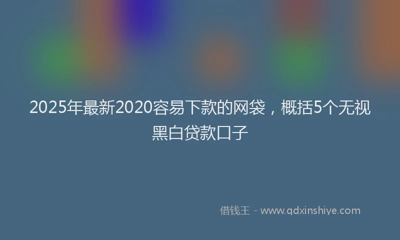 2025年最新2020容易下款的网袋，概括5个无视黑白贷款口子