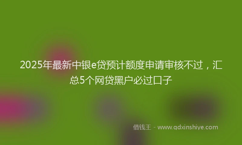 2025年最新中银e贷预计额度申请审核不过，汇总5个网贷黑户必过口子