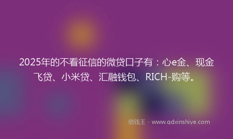 2025年的不看征信的微贷口子有：心e金、现金飞贷、小米贷、汇融钱包、RICH-购等。