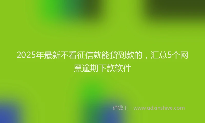 2025年最新不看征信就能贷到款的，汇总5个网黑逾期下款软件