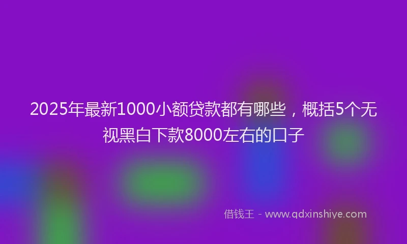 2025年最新1000小额贷款都有哪些，概括5个无视黑白下款8000左右的口子