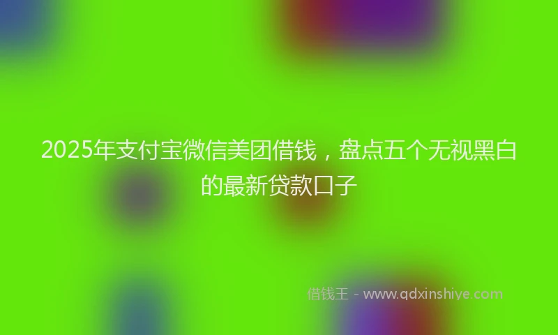 2025年支付宝微信美团借钱，盘点五个无视黑白的最新贷款口子