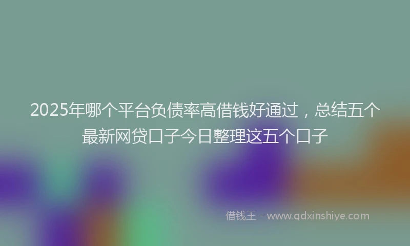 2025年哪个平台负债率高借钱好通过，总结五个最新网贷口子今日整理这五个口子